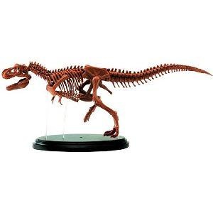 edu toys tyrannosaurus rex skeleton